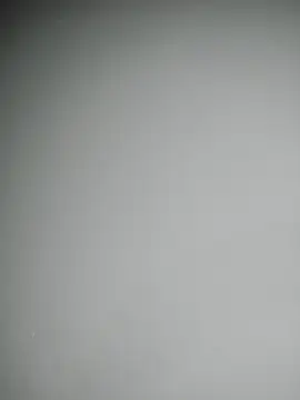 delaylacruz online show from October 2025 11:24:01 AM