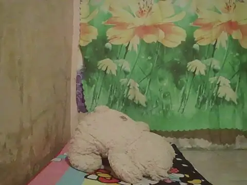 Snapshot of sexymorenal18 chatting on September 2025 01:38:01 PM sexymorenal18 online show from September 2025 01:38:01 PM