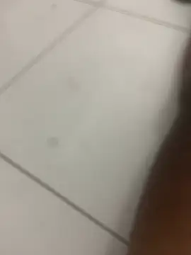 Snapshot of novin21rj chatting on April 2026 12:55:02 AM novin21rj online show from April 2026 12:55:02 AM