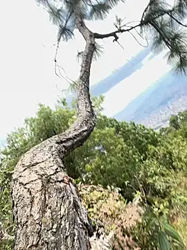 Snapshot of Alexis_Spicter chatting on September 2025 05:03:02 PM Alexis Spicter online show from September 2025 05:03:02 PM