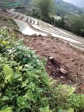 Snapshot of PhamPm70 chatting on April 2026 09:51:02 AM PhamPm70 online show from April 2026 09:51:02 AM