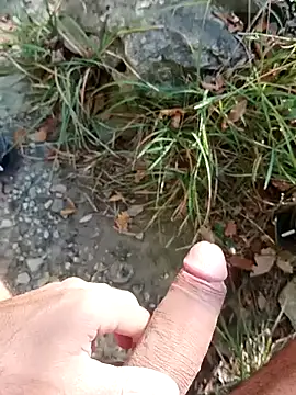 pegaso369 online show from November 2025 12:27:01 PM