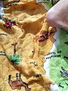 pegaso369 online show from February 2026 10:26:02 AM