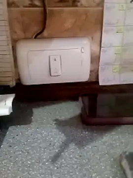 vergonvenco online show from October 2025 11:33:02 AM