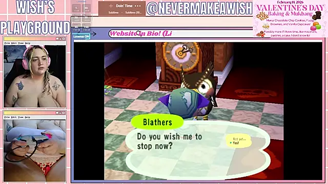 nevermakeawish online show from January 2026 07:11:01 PM