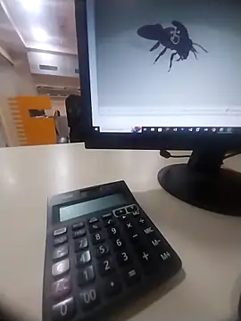 kiss like choco11 online show from October 2025 05:38:01 AM