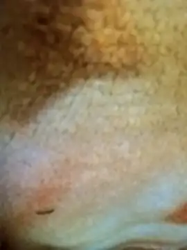 Snapshot of HOT-MUNDA chatting on December 2025 01:33:02 AM HOT-MUNDA online show from December 2025 01:33:02 AM