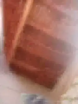 Snapshot of HOT-MUNDA chatting on February 2026 09:02:01 AM HOT-MUNDA online show from February 2026 09:02:01 AM