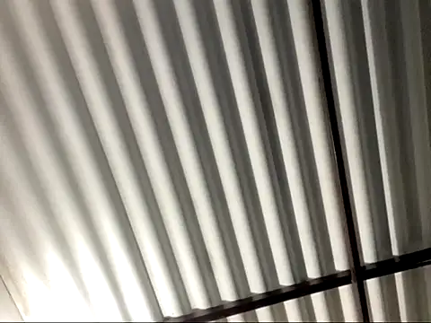 Snapshot of SexIngenieur chatting on February 2026 10:19:02 AM SexIngenieur online show from February 2026 10:19:02 AM