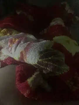 Snapshot of gaabpxn chatting on April 2026 03:44:02 AM gaabpxn online show from April 2026 03:44:02 AM