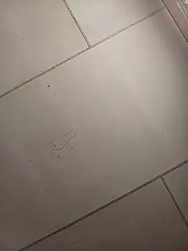 Babybigbutt online show from May 2026 12:22:01 PM