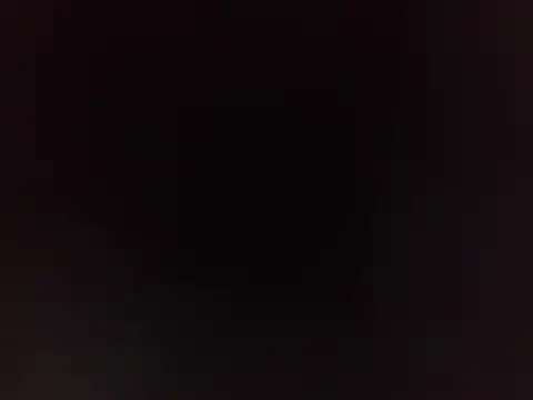 PeludoBrasil online show from March 2026 04:11:02 PM