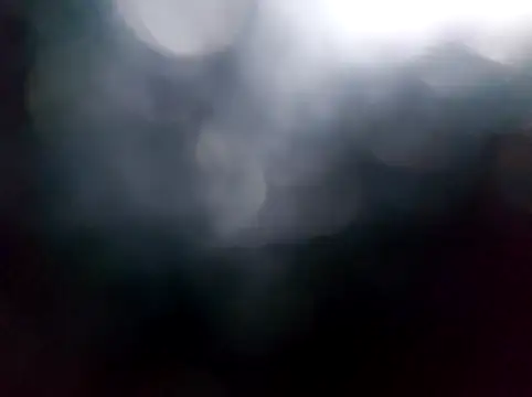 RaoufDz17cm online show from December 2025 01:39:02 PM