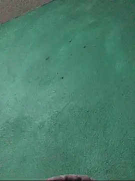 Snapshot of carlo20n chatting on October 2025 11:49:02 PM carlo20n online show from October 2025 11:49:02 PM