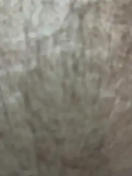 Telugu sex  online show from December 2025 12:49:02 AM