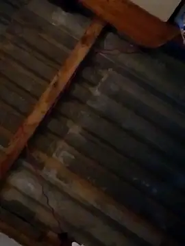 LUISSLEONN0958 online show from September 2025 09:02:01 AM