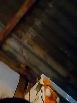 LUISSLEONN0958 online show from September 2025 09:14:01 AM