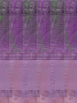 its Surya BBC online show from December 2025 07:44:01 PM