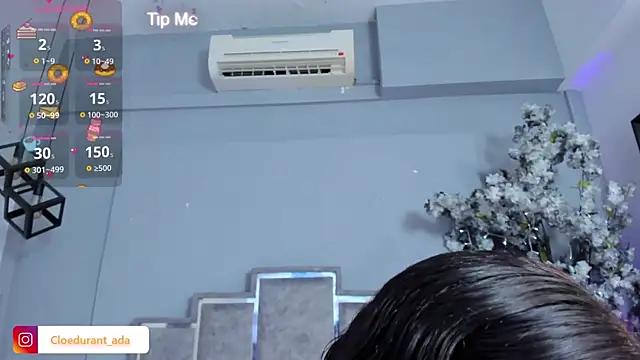 Snapshot of Cloedurant chatting on January 2026 04:07:02 AM Cloedurant online show from January 2026 04:07:02 AM