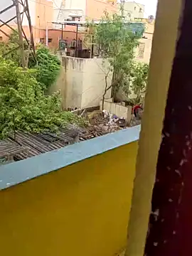 6-inchbanana online show from September 2025 11:12:02 AM