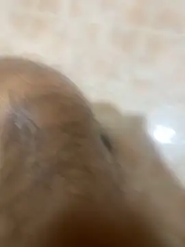 Snapshot of Binuthomas chatting on November 2025 05:01:02 PM Binuthomas online show from November 2025 05:01:02 PM