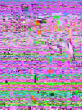 Rouse69  online show from November 2025 01:32:02 PM