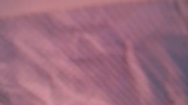 Liz Hu online show from October 2025 04:28:01 PM