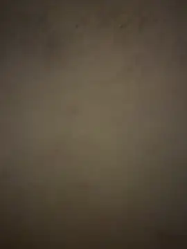 cutietootie02 online show from March 2026 01:21:01 AM