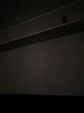 Snapshot of NibbleSweetie chatting on December 2025 08:47:02 PM NibbleSweetie online show from December 2025 08:47:02 PM