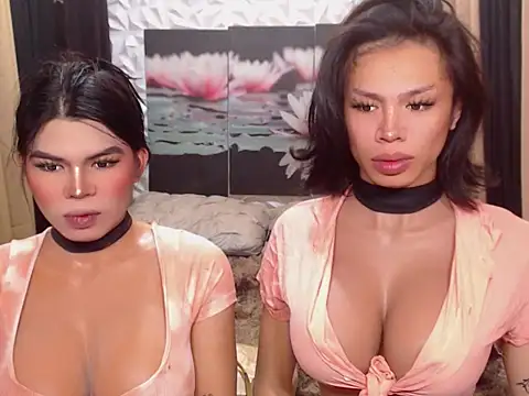 Snapshot of WILDROXIE chatting on December 2025 04:17:01 AM WILDROXIE online show from December 2025 04:17:01 AM