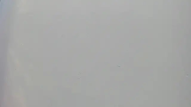 Snapshot of Saammy_17 chatting on September 2025 08:23:02 PM Saammy 17 online show from September 2025 08:23:02 PM