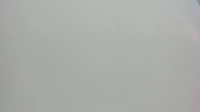 Snapshot of Saammy_17 chatting on October 2025 08:04:01 PM Saammy 17 online show from October 2025 08:04:01 PM