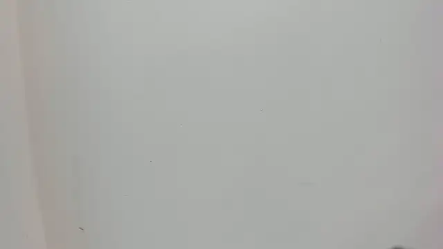 Snapshot of Saammy_17 chatting on October 2025 08:06:02 PM Saammy 17 online show from October 2025 08:06:02 PM