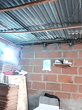 hoteder online show from December 2025 01:28:02 PM