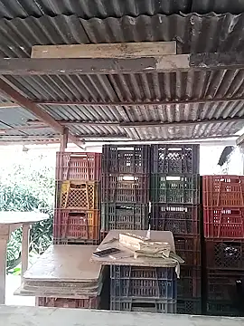 hoteder online show from February 2026 12:45:01 PM