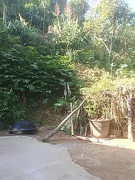 Ruaiuoi online show from May 2026 12:39:02 AM