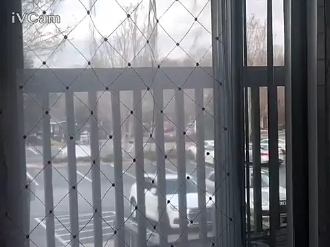 honoka008 online show from March 2026 07:33:01 PM