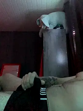 Snapshot of o-theus chatting on October 2025 05:28:02 AM o-theus online show from October 2025 05:28:02 AM