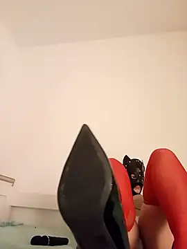 KittenCarnivore online show from November 2025 08:30:02 PM