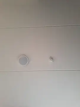 geilerd122 online show from October 2025 03:56:02 PM