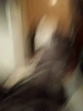 Empi19cm online show from October 2025 04:42:01 AM