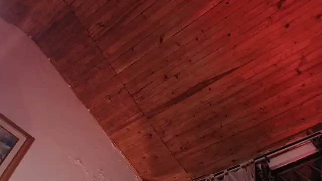 ArturoCardona  online show from May 2026 08:52:01 AM