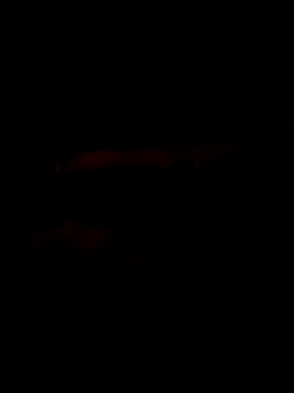 Marco0sss online show from February 2026 09:02:01 AM