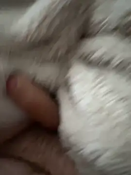 cumshot foryou online show from March 2026 04:04:01 PM