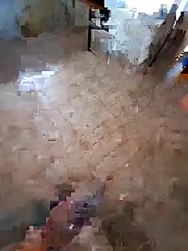 vercf14 online show from March 2026 09:47:02 AM