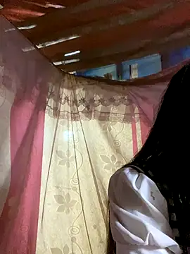 PhanHaa online show from November 2025 12:49:01 PM