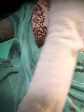 Snapshot of cut_renukadevi chatting on December 2025 01:55:02 AM cut renukadevi online show from December 2025 01:55:02 AM