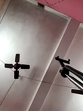 Snapshot of Panchi2 chatting on November 2025 04:14:02 AM Panchi2 online show from November 2025 04:14:02 AM