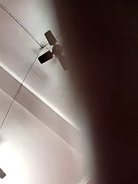 Snapshot of Panchi2 chatting on November 2025 04:00:01 AM Panchi2 online show from November 2025 04:00:01 AM