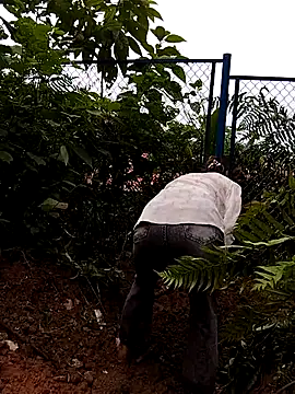 linda bae00 online show from September 2025 05:45:02 AM